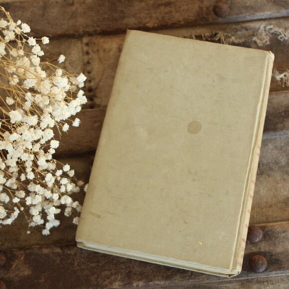 Vintage 1940s Book ,"Prince of Foxes" by Samuel Shellabarger, First Edition - Picture 2 of 10